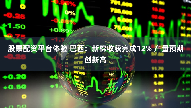 股票配资平台体验 巴西：新棉收获完成12% 产量预期创新高