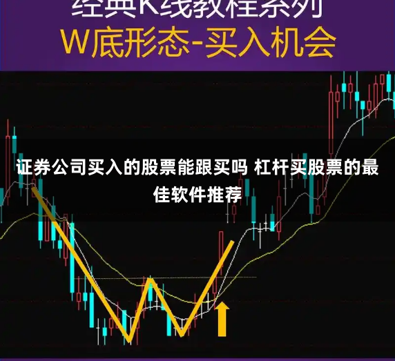 证券公司买入的股票能跟买吗 杠杆买股票的最佳软件推荐
