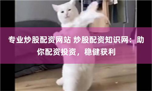 专业炒股配资网站 炒股配资知识网：助你配资投资，稳健获利